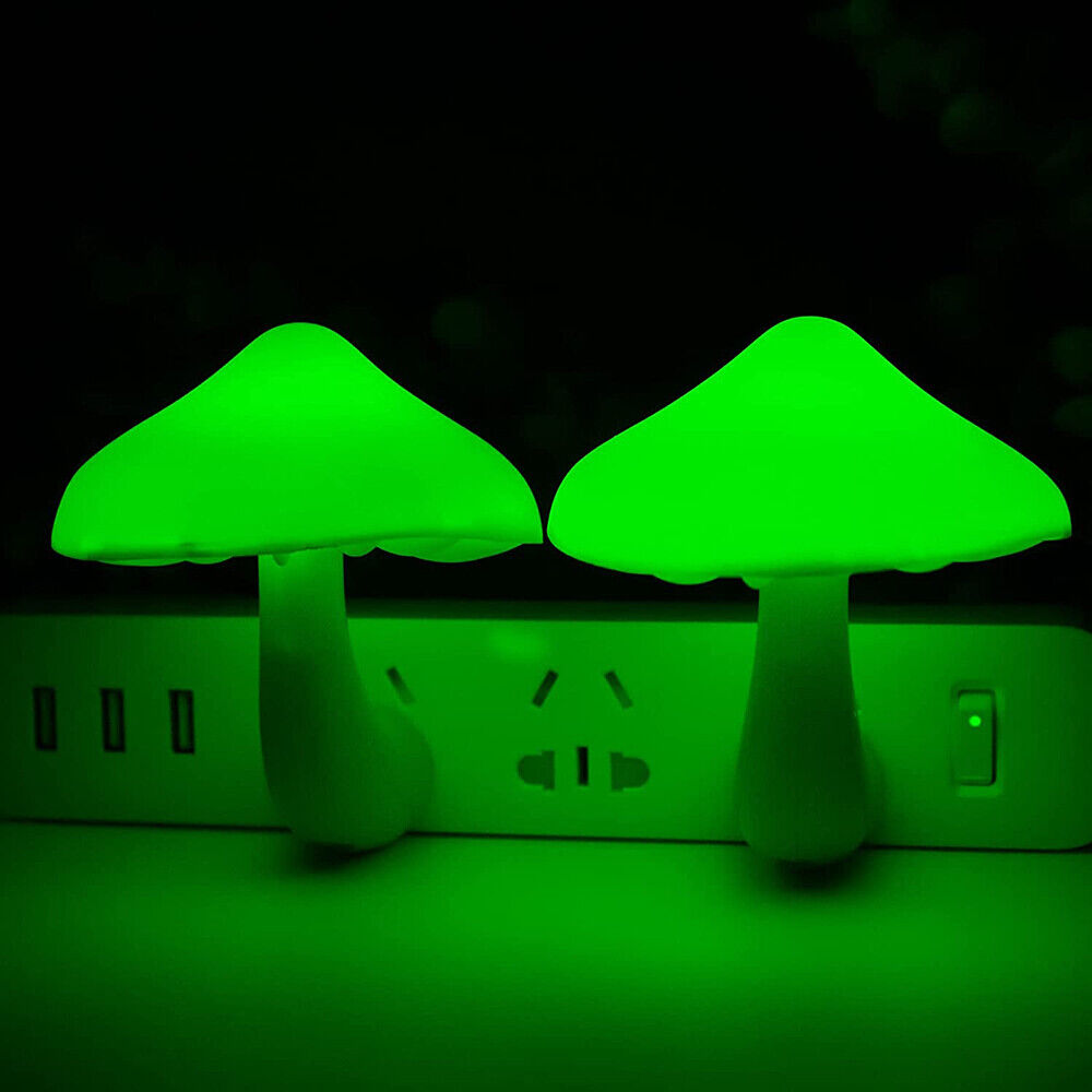 Illuminated Mushroom