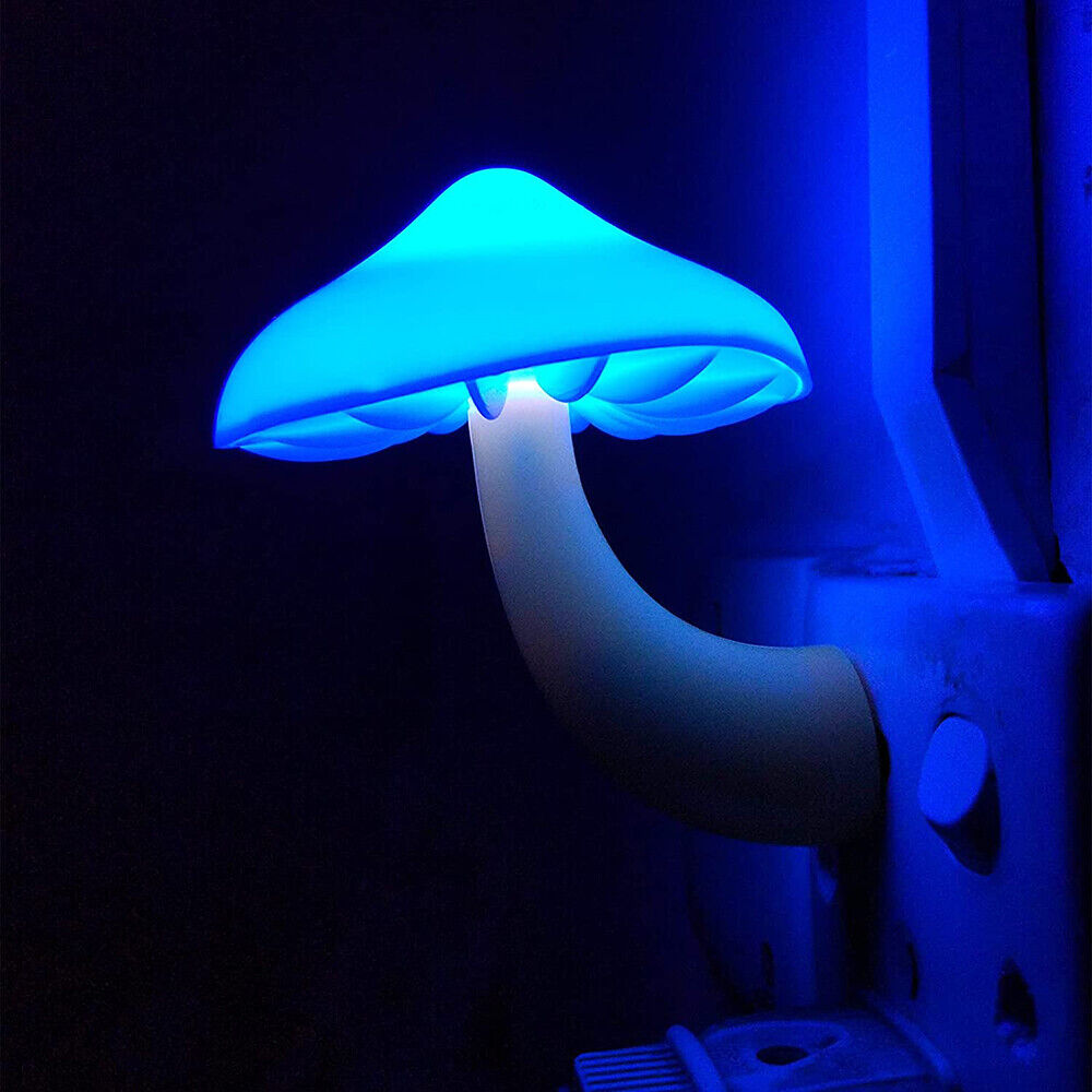 Illuminated Mushroom