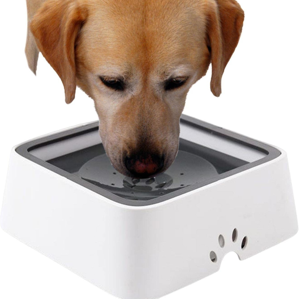 Big Dog Water Bowl with Overflow Protection