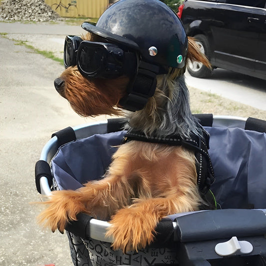 Helmet and Goggles for Dogs on Motorcycles