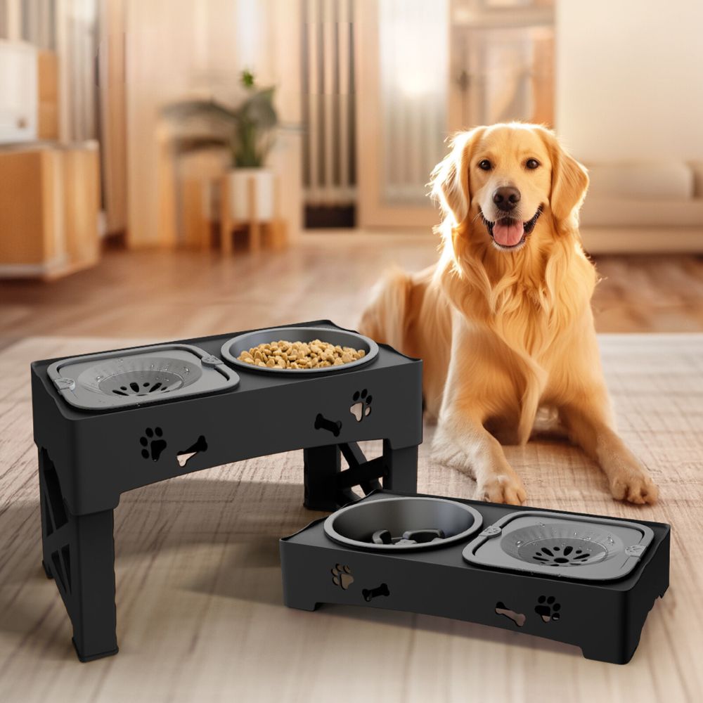 Elevated Slow-Feed Dog Bowl