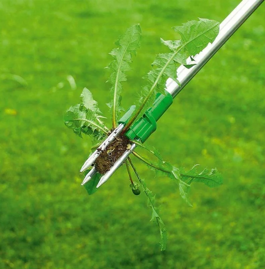 Upright Weed Remover with Long Handle