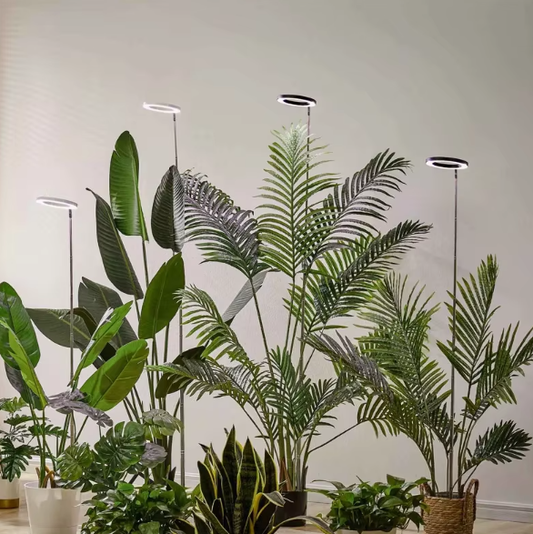 Indoor Plant Grow Light