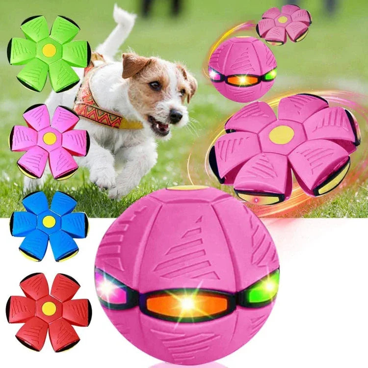 Dog Toy Flying Disc