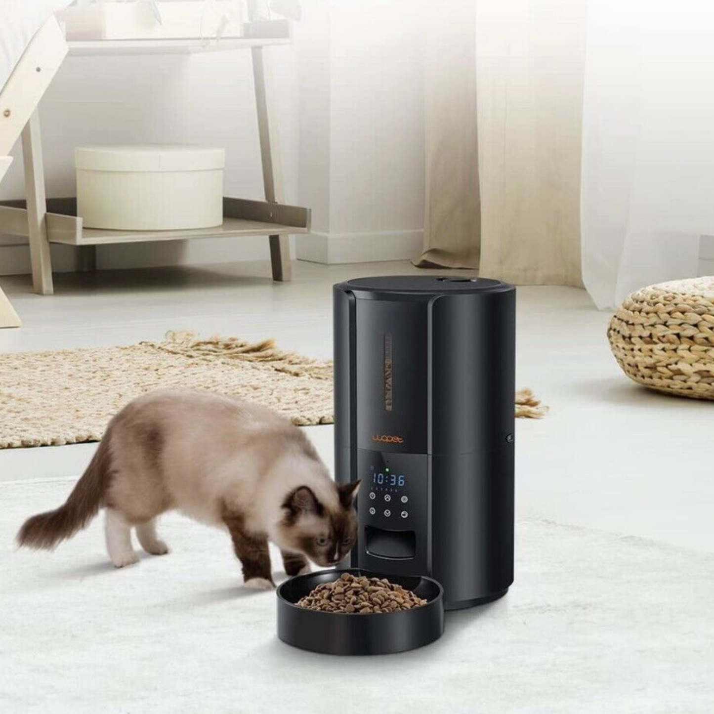 Automatic Pet Feeder for Large Dogs and Cats