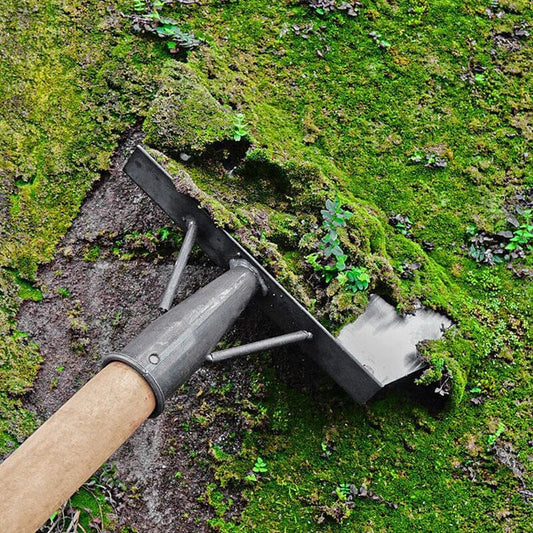 All-purpose Cleaning Scoop