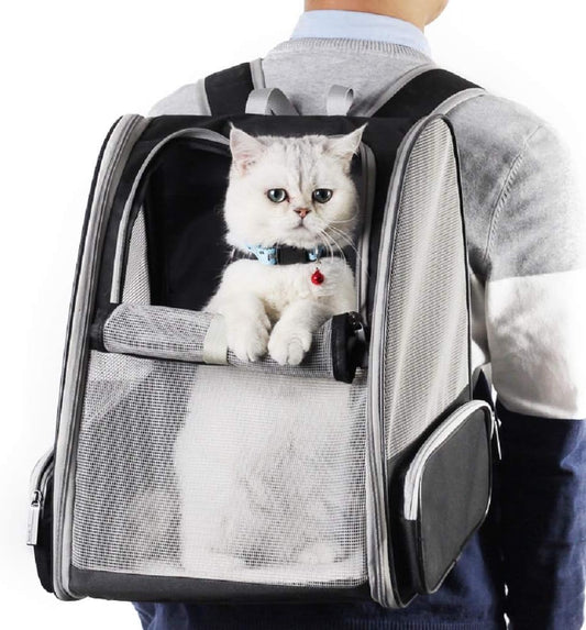 Cat Backpack