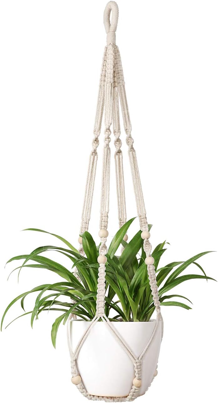 Hanging Planter for Indoors