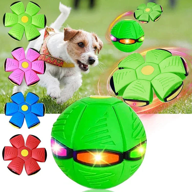 Dog Toy Flying Disc