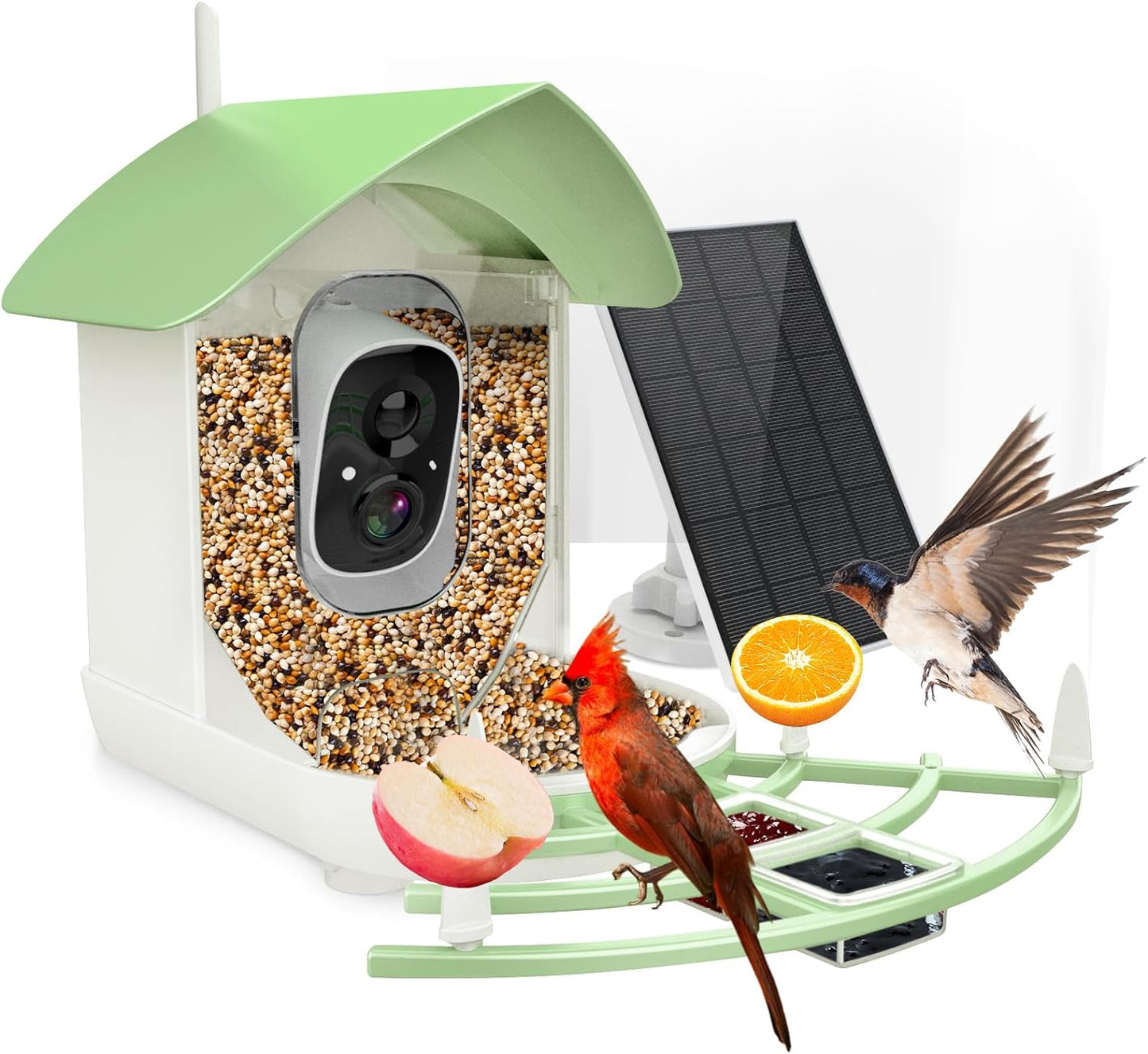 Wireless Bird Feeder with Camera