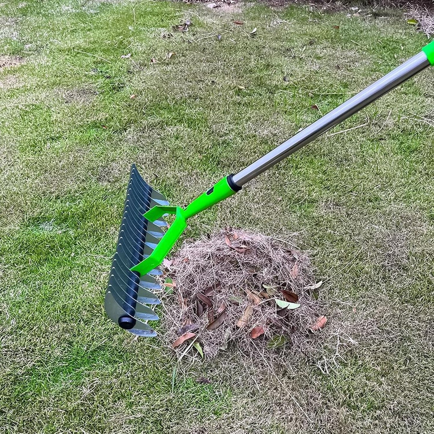 Extended Reach Rake for Removing Thatch