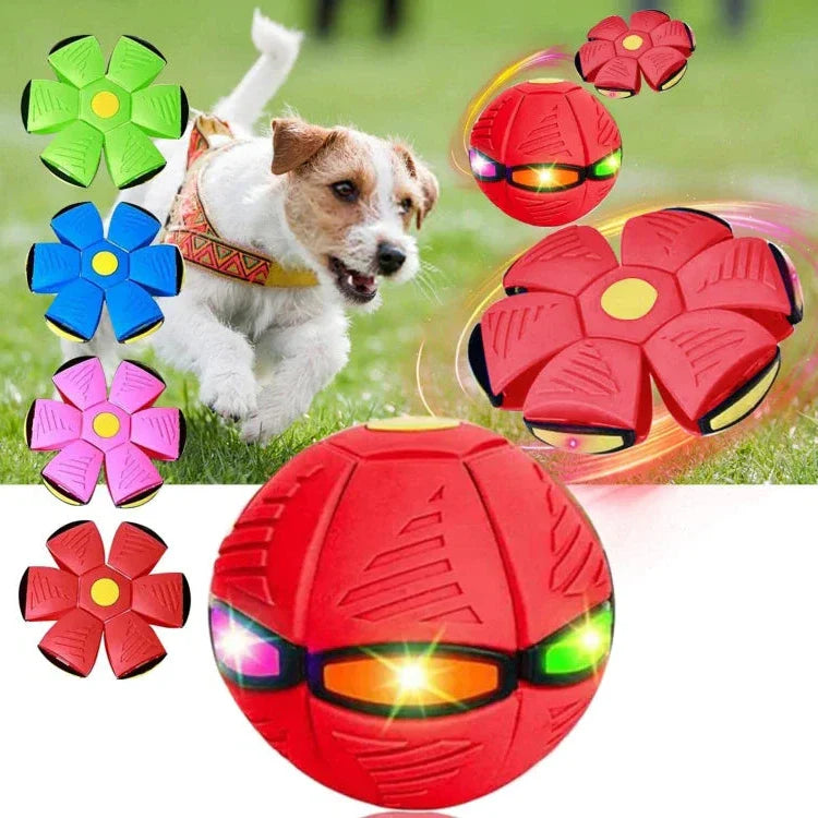 Dog Toy Flying Disc