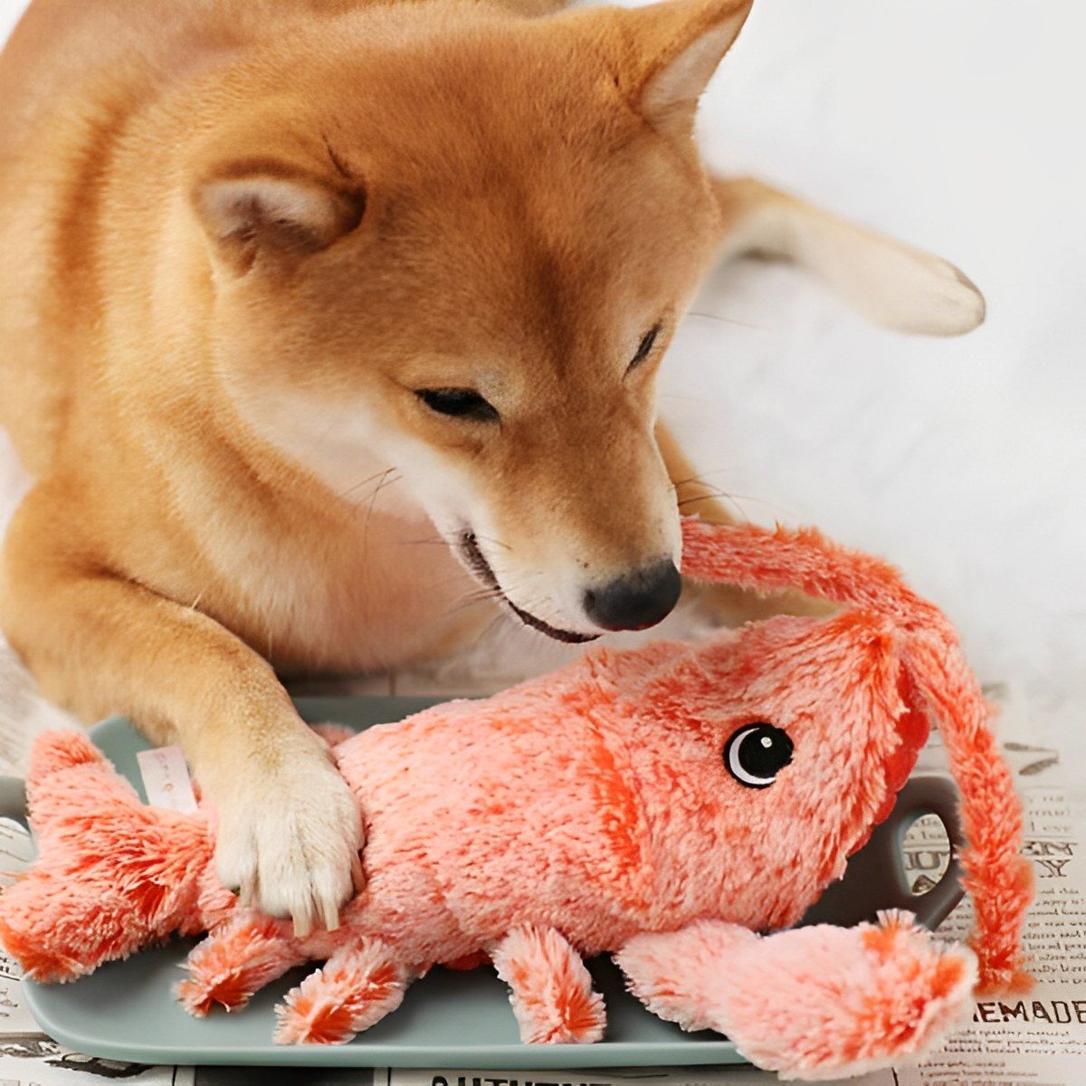 Interactive Lobster Dog Toy