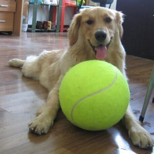 Giant Dog Tennis Ball (24cm)