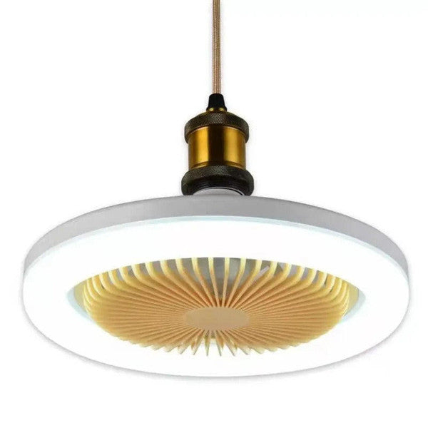 Contemporary Ceiling Fan with LED Light