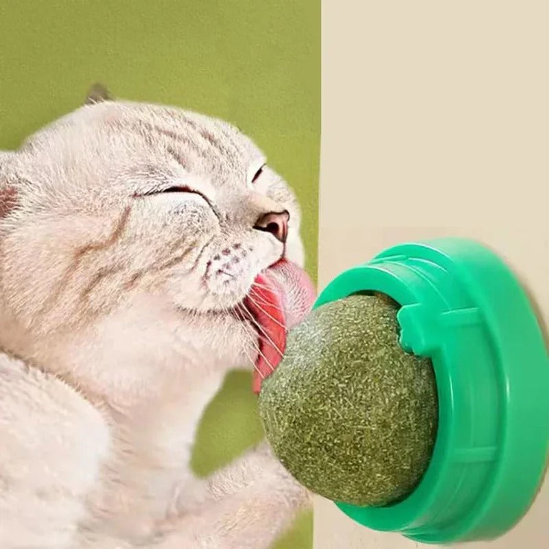 Four Premium Catnip Balls