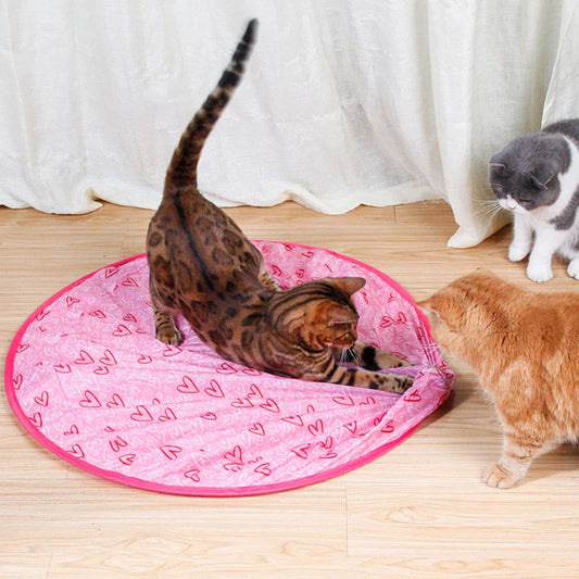 Interactive Hunting Cat Toy with Two Features