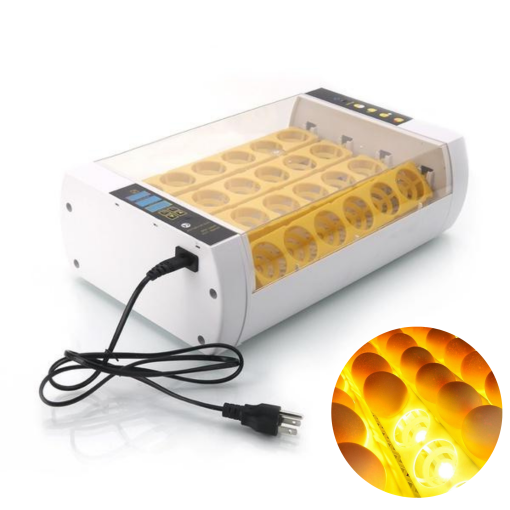 Automatic 24-Egg Incubator for Chickens and Quail