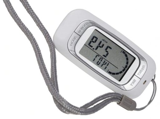 Accurate Clip-on & Strap Pedometer with 30-Day Memory