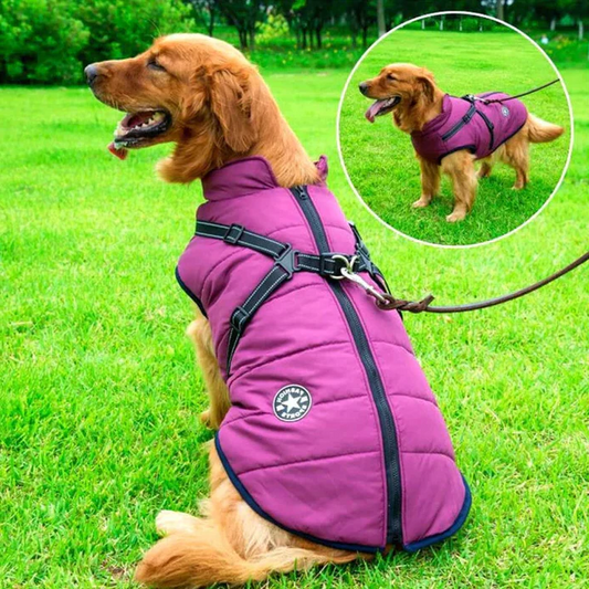 Warm, Waterproof Dog Coat with Sherpa Lining & Harness