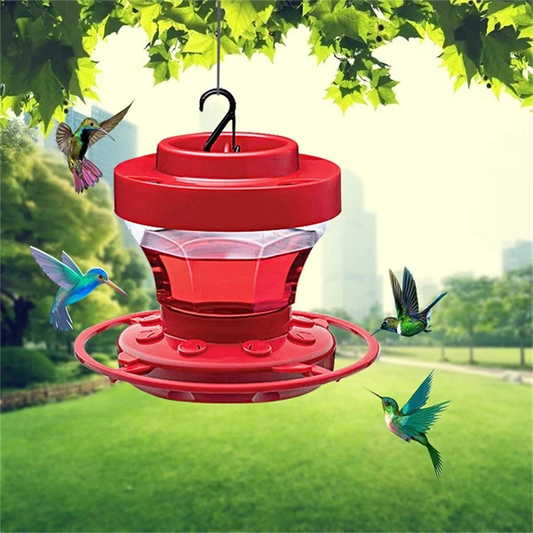 Hummingbird feeders with bee guards and perches