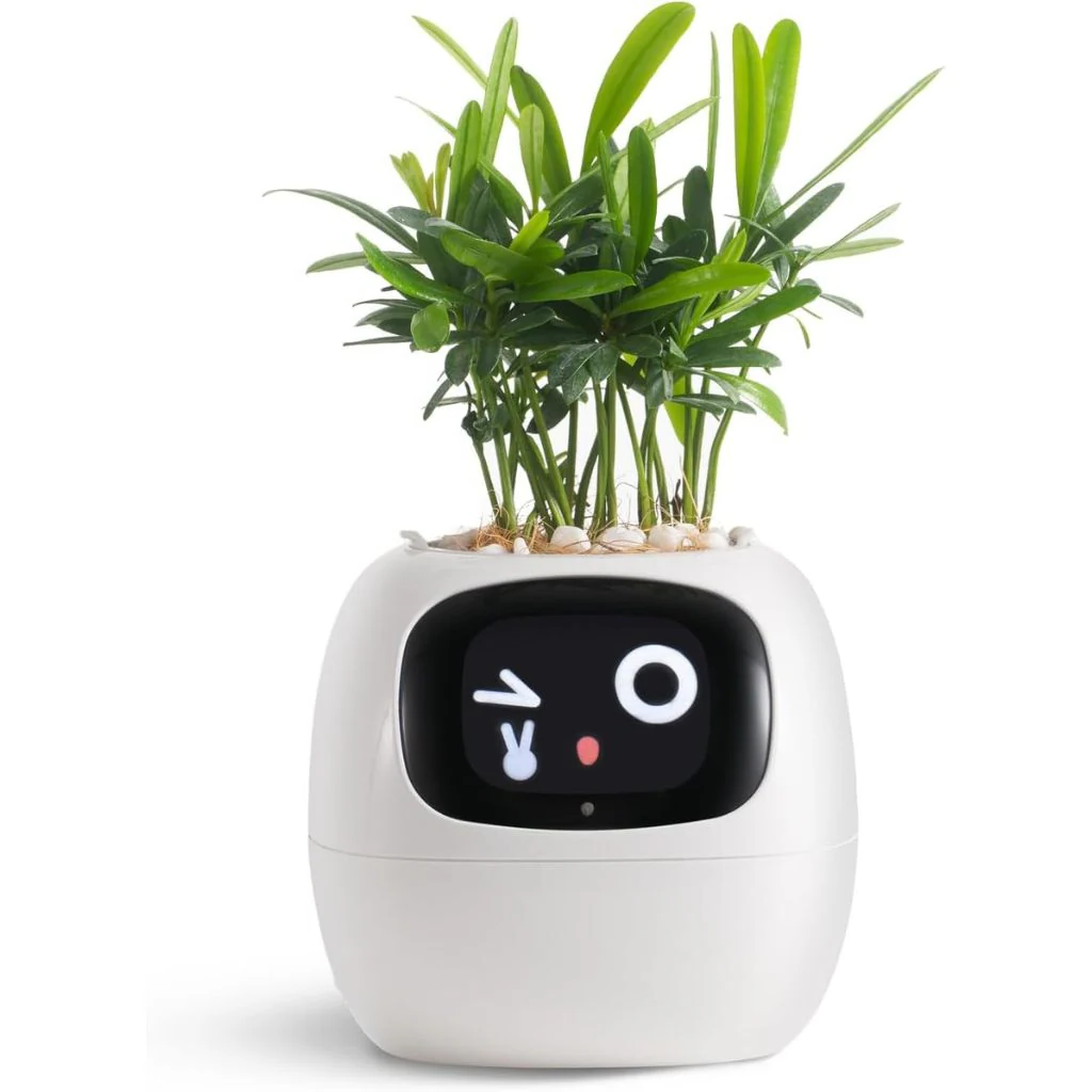 Self-Watering Smart Pot for Ivy Plants