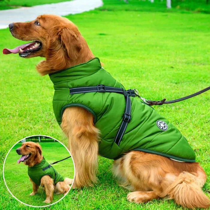 Warm, Waterproof Dog Coat with Sherpa Lining & Harness