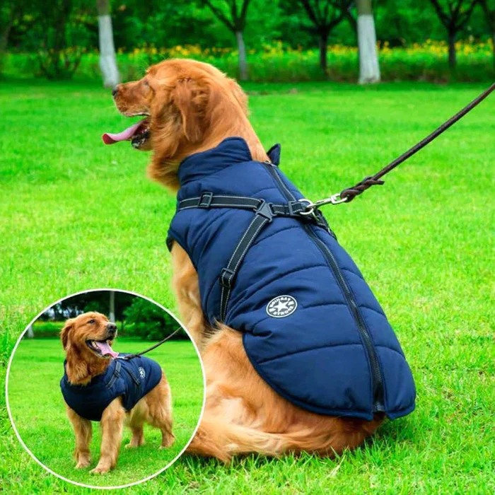 Warm, Waterproof Dog Coat with Sherpa Lining & Harness