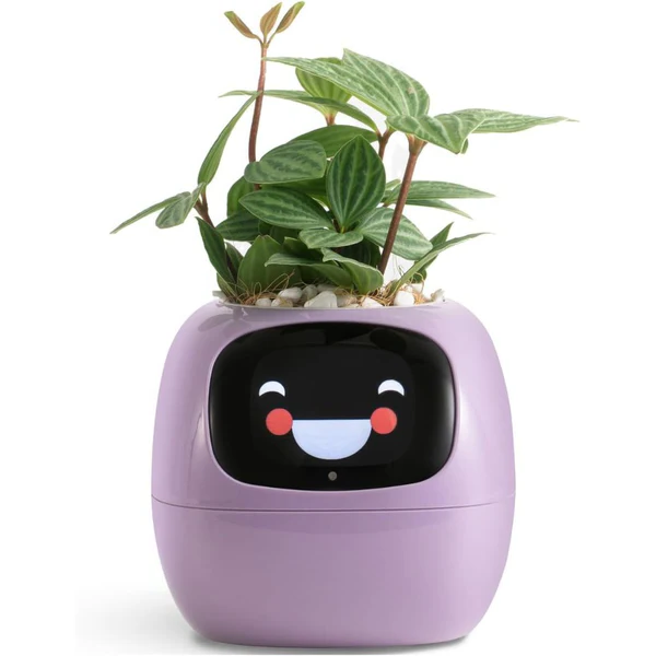 Self-Watering Smart Pot for Ivy Plants