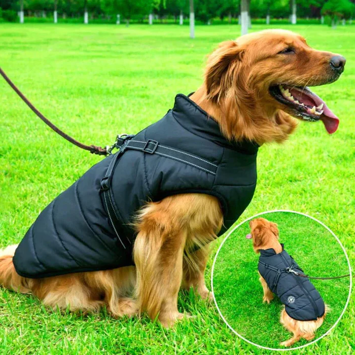 Warm, Waterproof Dog Coat with Sherpa Lining & Harness