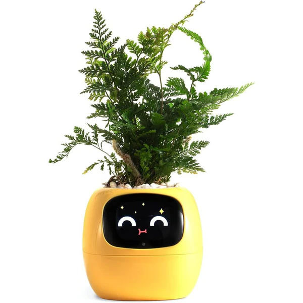 Self-Watering Smart Pot for Ivy Plants