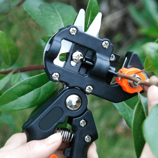 Expert Grafting and Pruning Tool