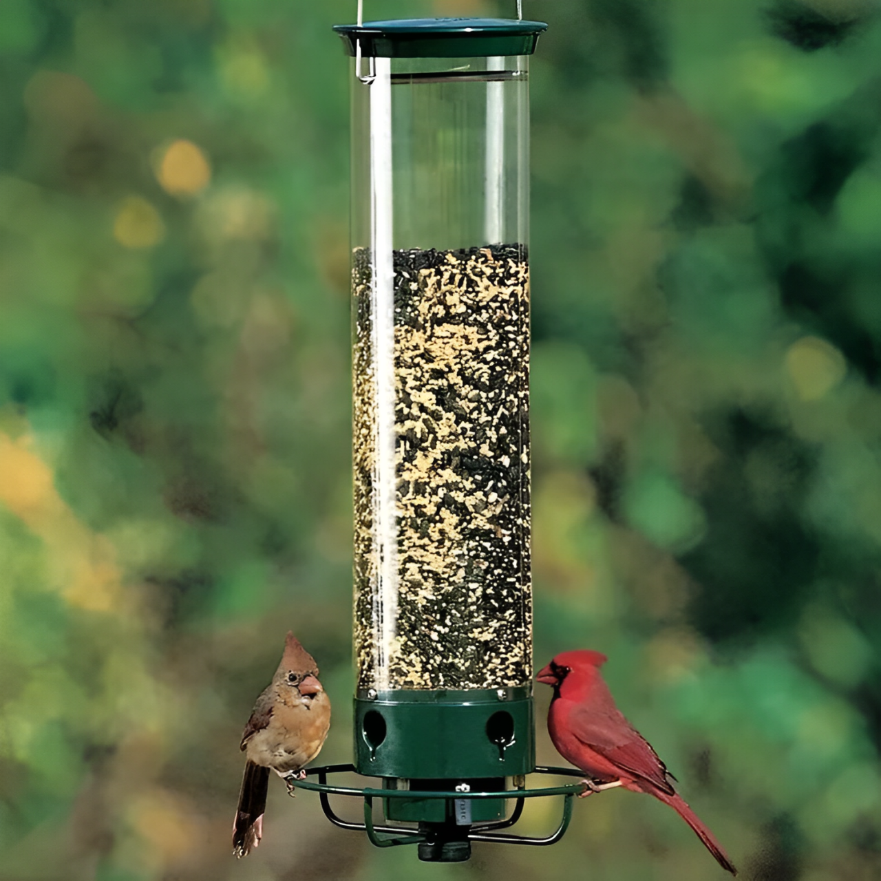 Bird Feeder That Keeps Squirrels Away