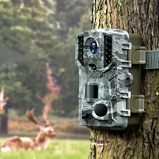 HD Trail Camera with Wireless Night Vision